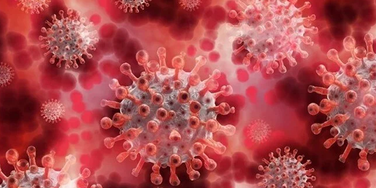 Maymun Çiçeği (Mpox) virüsü nedir, hangi yollarla bulaşır? İlk ölüm olayı gerçekleşti!