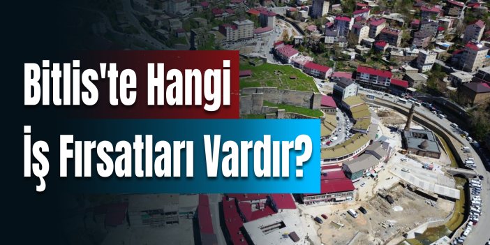 Bitlis'te Hangi Alanda Ne İş Yapılır?