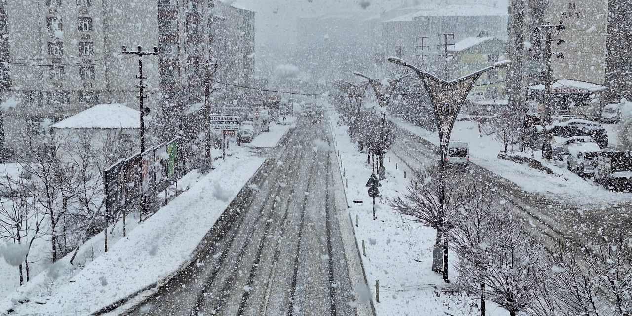 Bitlis'te Yoğun Kar Yağışı İle Kış Geri Geldi