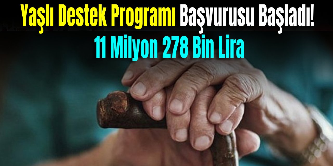 Yaşlı Destek Programı Başvurusu Başladı! 11 Milyon 278 Bin Lira