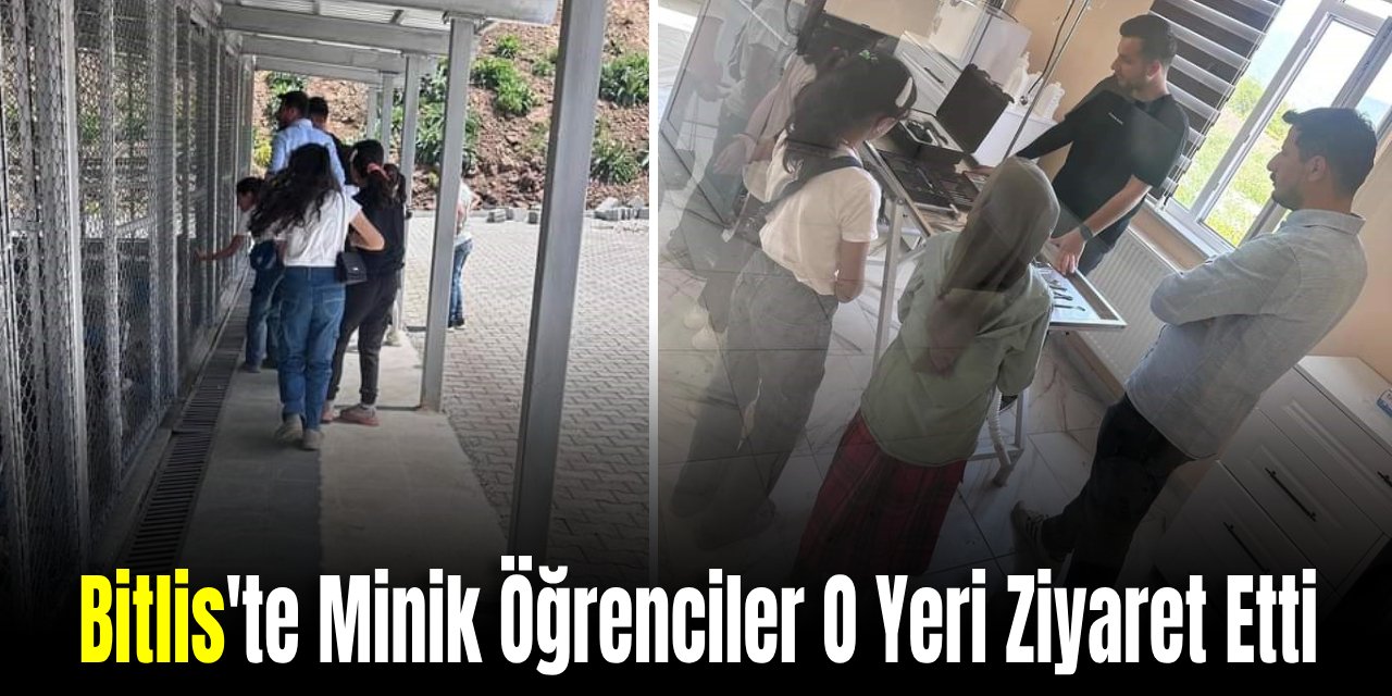 Bitlis'te Minik Öğrenciler, O Yere Gidip Ziyaret Ettiler