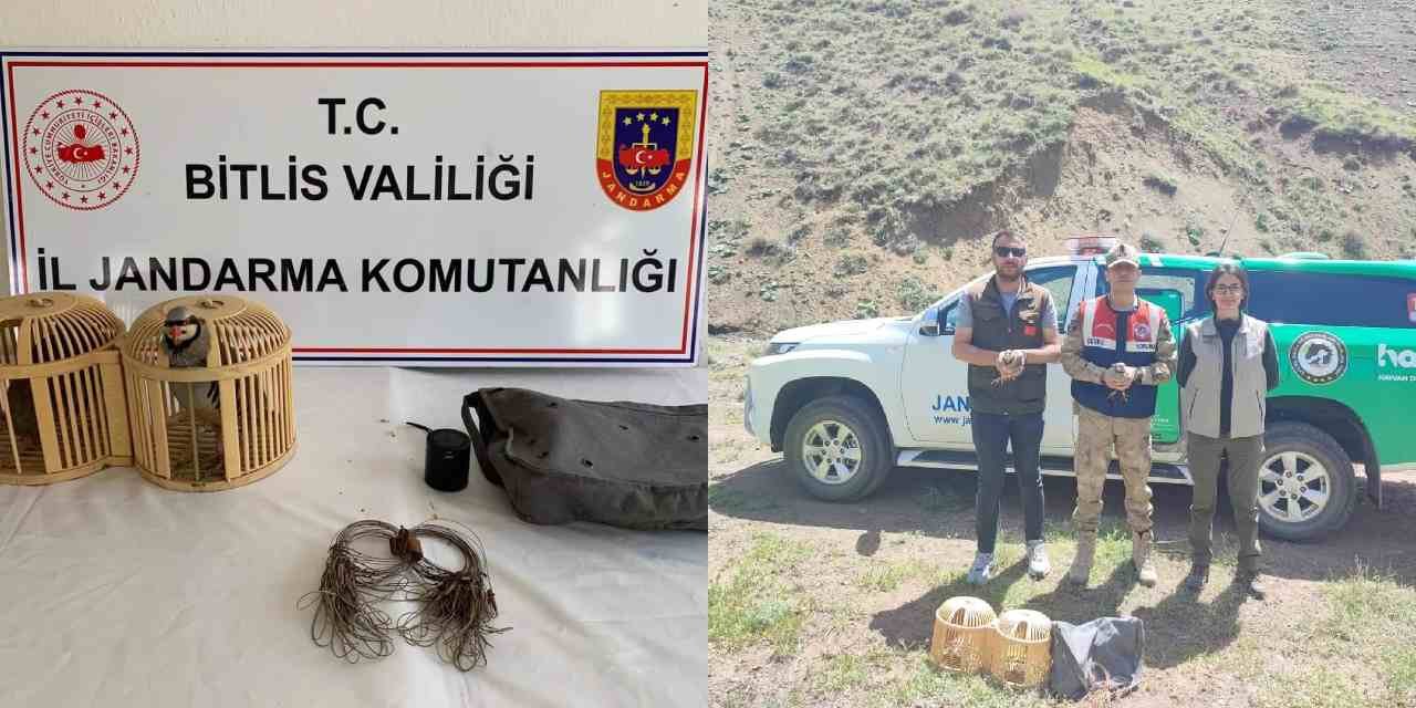 Bitlis'te Keklik Avlayan 2 Kişiye Yüksek Para Cezası Uygulanacak