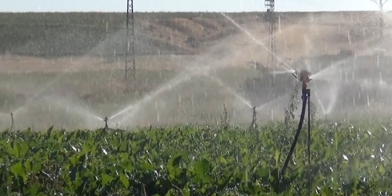 Bitlis'te Çiftçiler Verim ve Tasarruf İçin Yeni Sulama Yöntemlerine Geçiyor