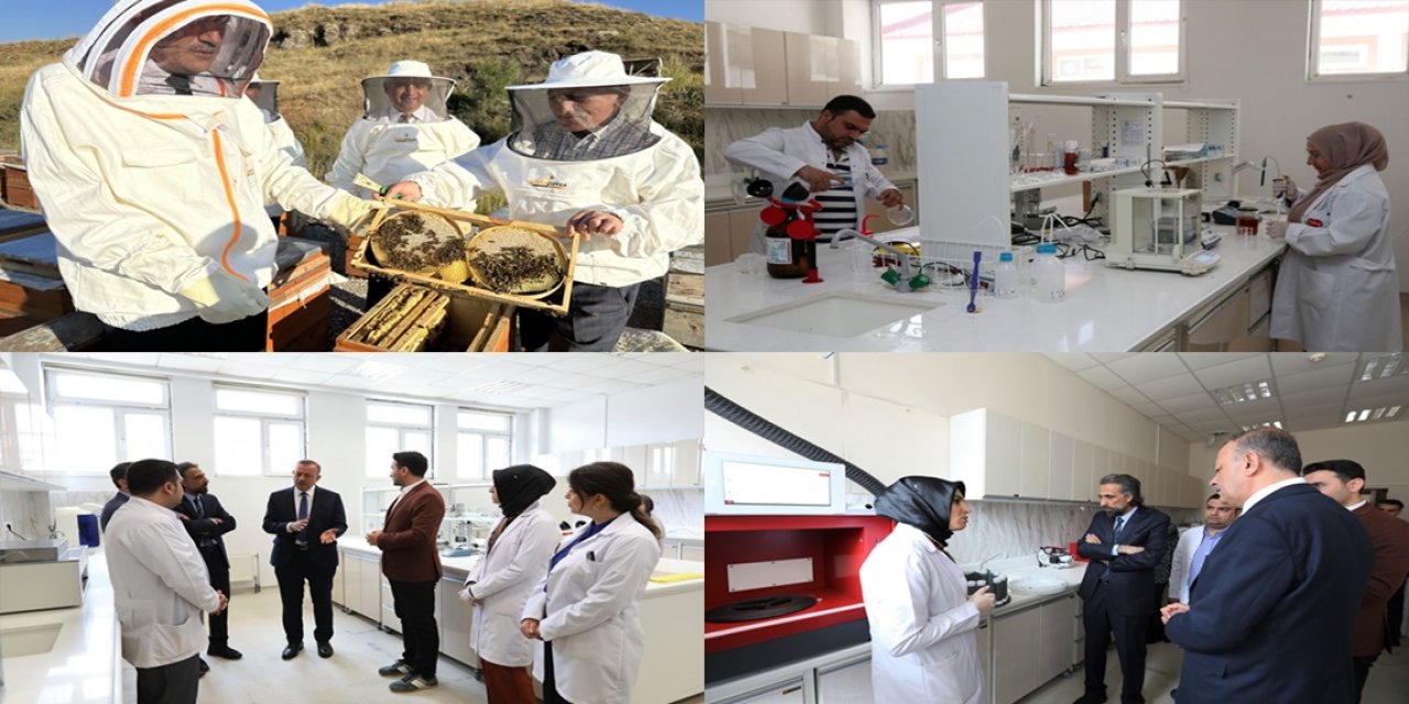 Bitlis Eren Üniversitesi, ARIMER'i Kurarak Arı ve Arı Ürünleri Alanında Önemli Bir Adım Attı
